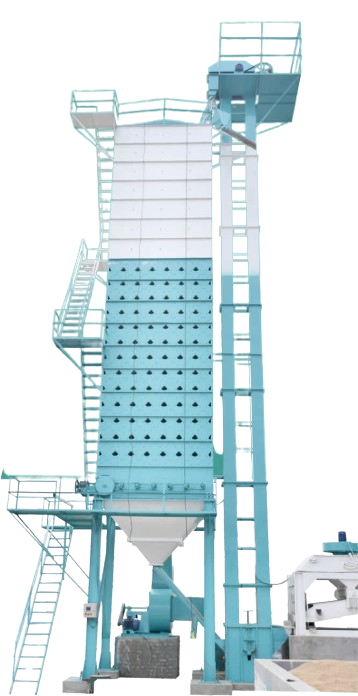 Paddy Dryer Plant